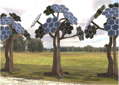 درختان خورشیدی؛ راهکار ایالت هندی برای روشنایی