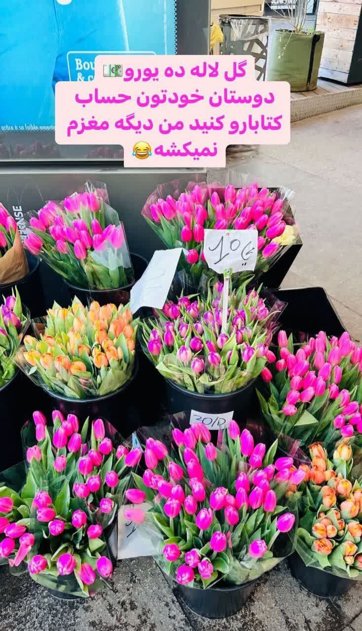 روایت زندگیهایی که بازیچه دست بلاگرها است