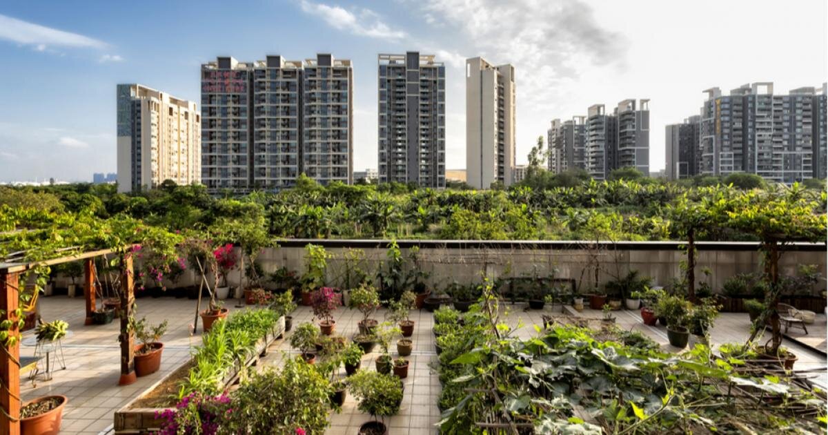 کشاورزی شهری چیست +شهرهایی با بیشترین مزارع