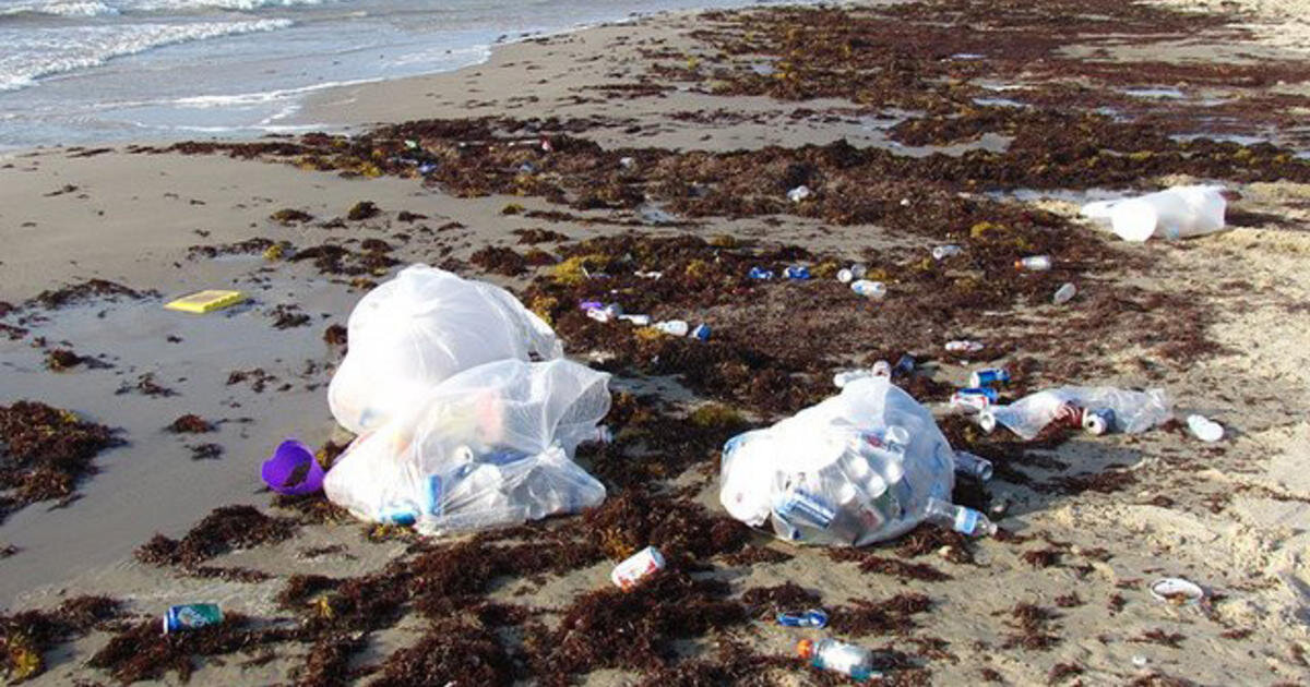 آمریکا میزبان سواحلی کثیف