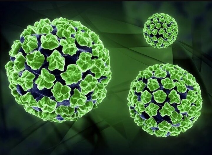 ویروس HPV چیست؟