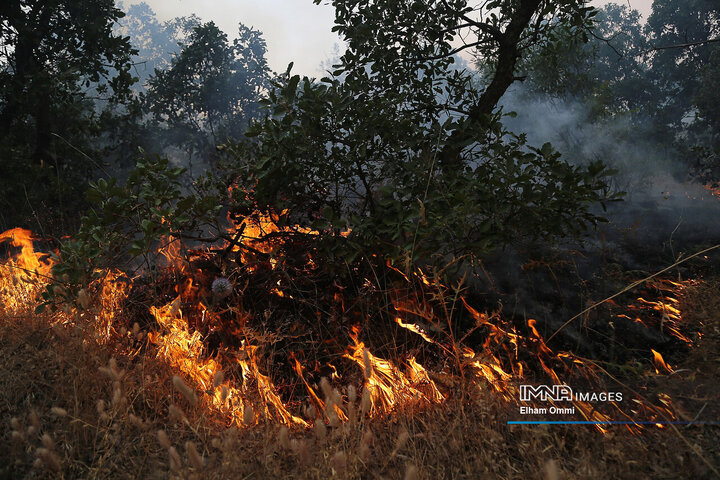 ۱۴ نفر از عاملان آتش‌سوزی‌ جنگل‌های مریوان به مراجع قضایی معرفی شدند