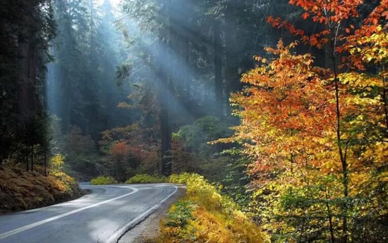 بهترین شهرهای ایران برای مسافرت در تابستان+ عکس