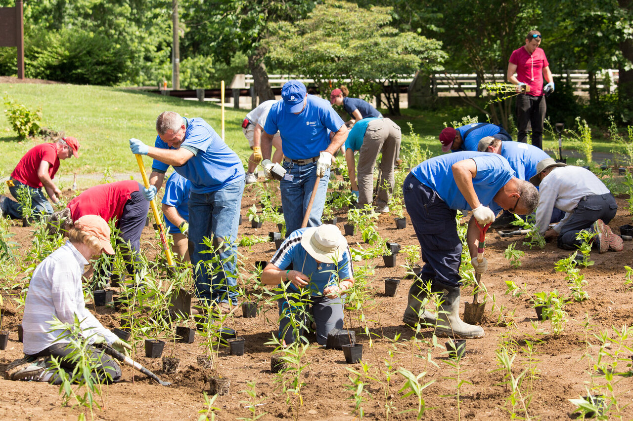 نمونههای موفق شهرهای بیوفیلیک جهان + رویکردهای طبیعتباره