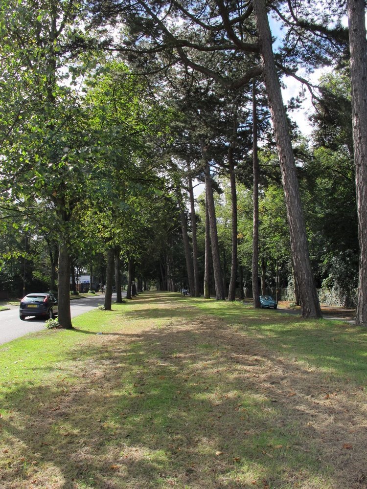 نمونههای موفق شهرهای بیوفیلیک جهان + رویکردهای طبیعتباره