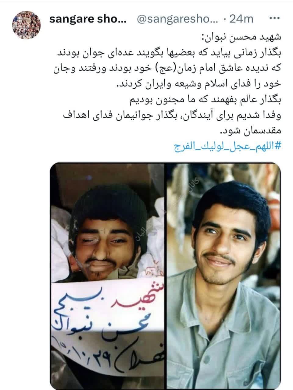 شهید محسن نبوان: بگذر عالم بهفمند ما مجنون بودیم