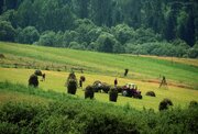 مشکل ۱۰ ساله زمین کشاورزان روستای خراجی هرچه‌ سریع‌تر رفع شود