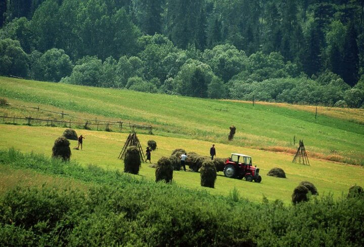 ۳۶ درصد اراضی کشاورزی خراسان شمالی سنددار شد