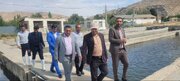 گردش مالی پرورش ماهیان سردآبی از سه هزار میلیارد تومان گذشت