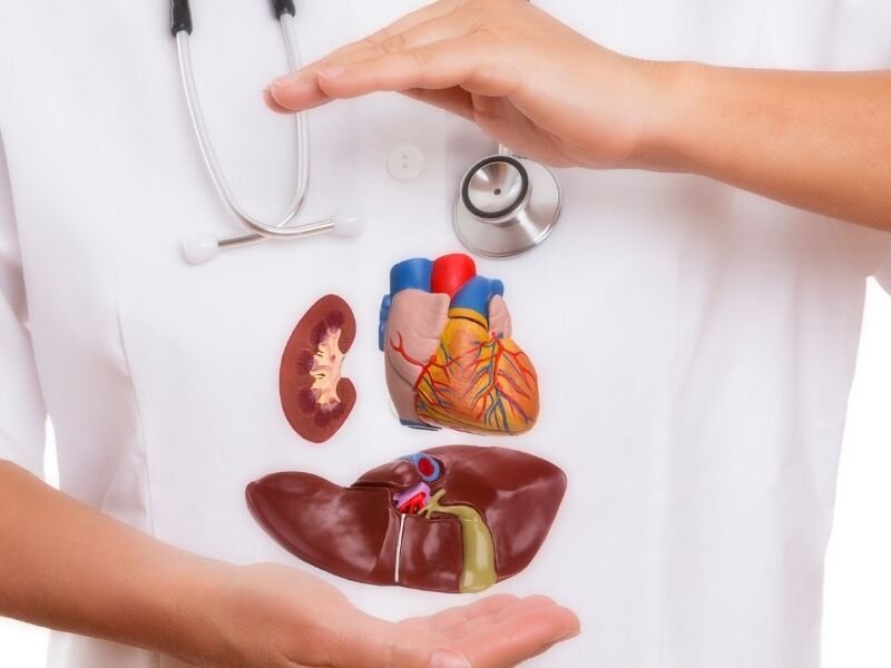 اهدای عضو و هر آنچه باید درباره آن بدانید/ چگونه کارت اهدای عضو بگیریم؟