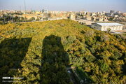 شناسنامه باغ‌های شهر قم تدوین می‌شود