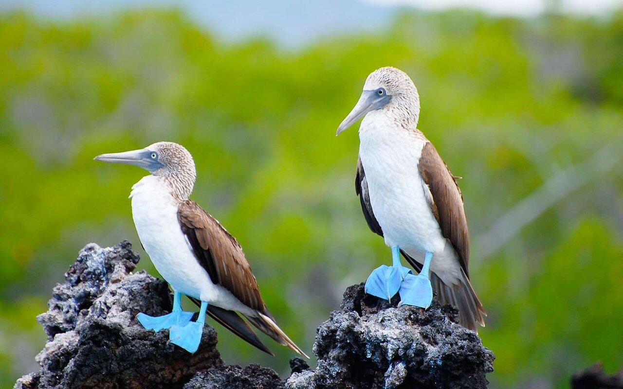 نخستین مکانهای گردشگری ثبتشده در میراث جهانی یونسکو