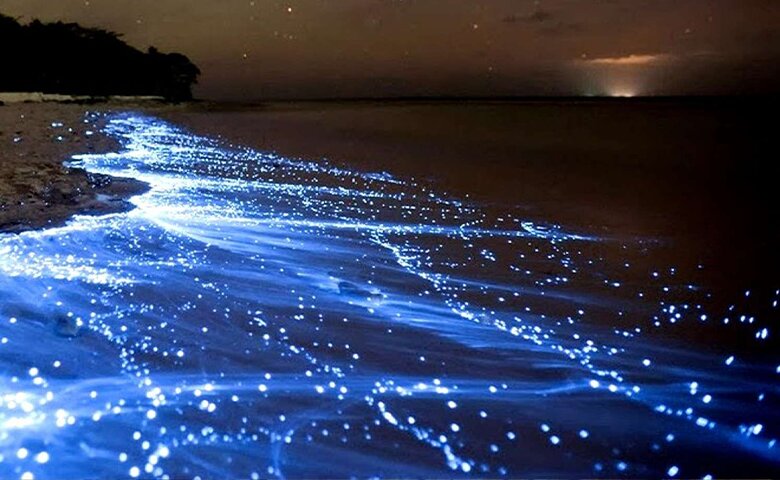 جاذبه های دیدنی قشم کدامند؟