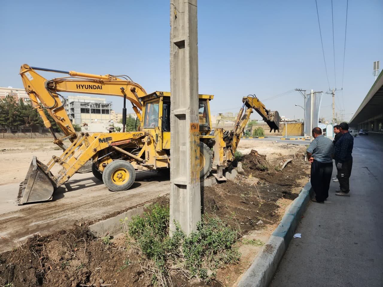 علت قطع برخی درختان خیابان امام خمینی (ره) اصفهان چه بود؟ + فیلم