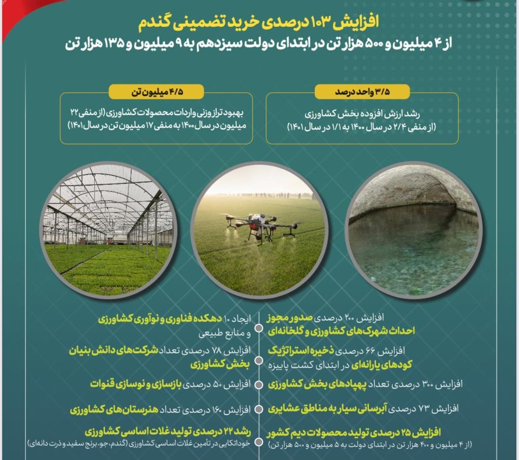 افزایش ۲۰ درصدی تولید غلات در کشور