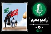 دانلود مداحی "دلتنگ حرم هستم حسین ولی دل به علم بستم حسین"