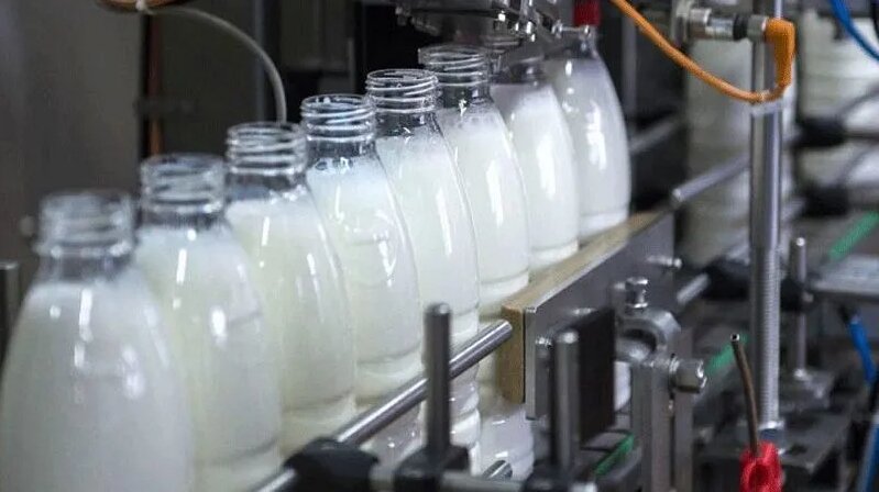 کسب رتبه اول در تولید شیر خام / بزرگترین کارخانه خوراک دام و طیور کشور افتتاح می‌شود