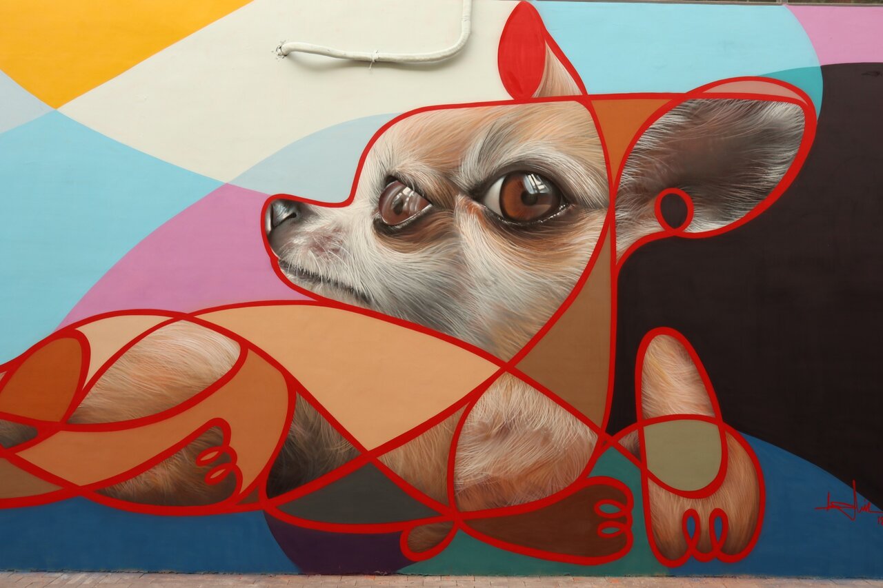 مزایای وجود گرافیتی در شهرها + تصاویر بهترین نقاشیهای دیواری جهان