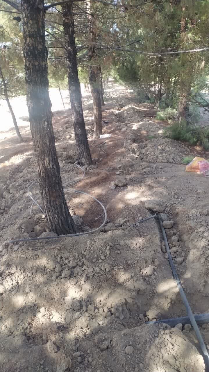 اجرای شبکه آبیاری قطرهای تحت فشار در منطقه ۵ اصفهان