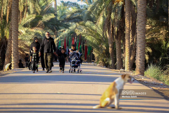 پیاده‌روی اربعین حسینی در مسیر طریق‌العلما