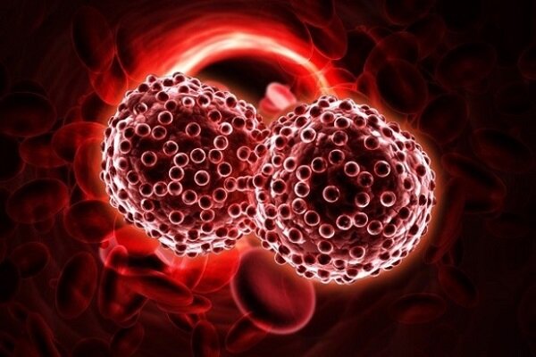 وجود بیش از ۱۲۰ نوع بدخیمی خونی/ بسیاری از بیماری‌های خونی نیاز به شیمی درمانی ندارد