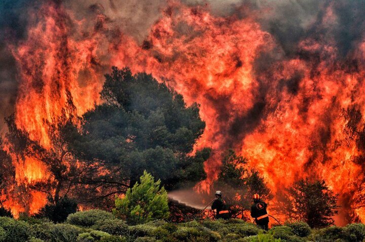دلیل افزایش آتش‌سوزی مراتع و جنگل‌ها چیست؟
