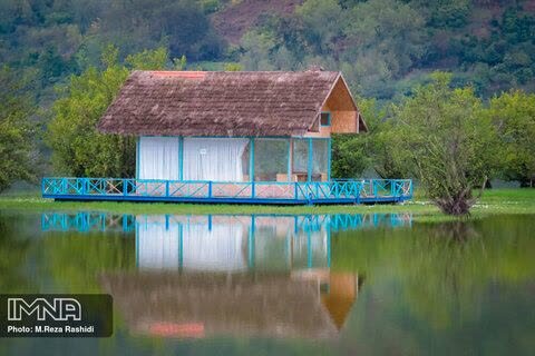 سایت پرندهنگری استیل؛ سرمایهای که از دست رفت