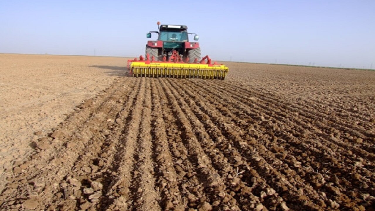 ۱۲۰ هزار هکتار از اراضی کشاورزی استان زیر کشت محصولات پاییزه می‌رود