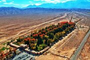 کرمان به عنوان ضلع چهارم گردشگری ایران نیازمند حمایت است