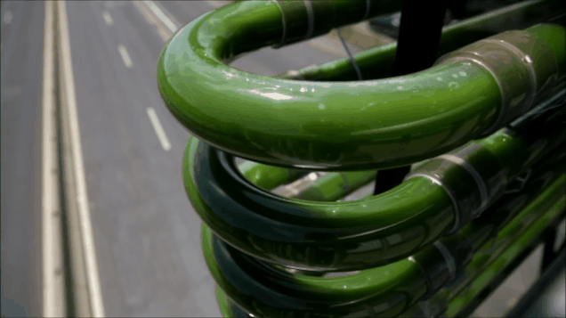 آیا شهرهای پایدار آینده جلبکی هستند؟