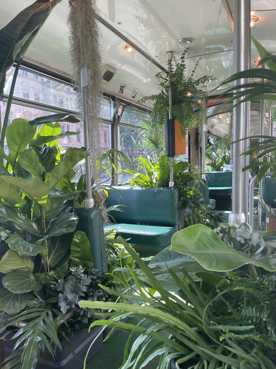 طرح «هر شهروند، یک باغبان شهری» در بلژیک