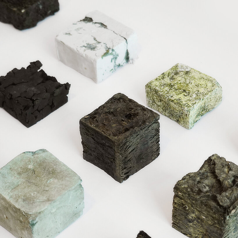 آیا شهرهای پایدار آینده جلبکی هستند؟