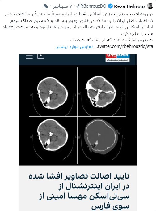 مهسا امینی، ویکیپدیا و سایر ماجراها