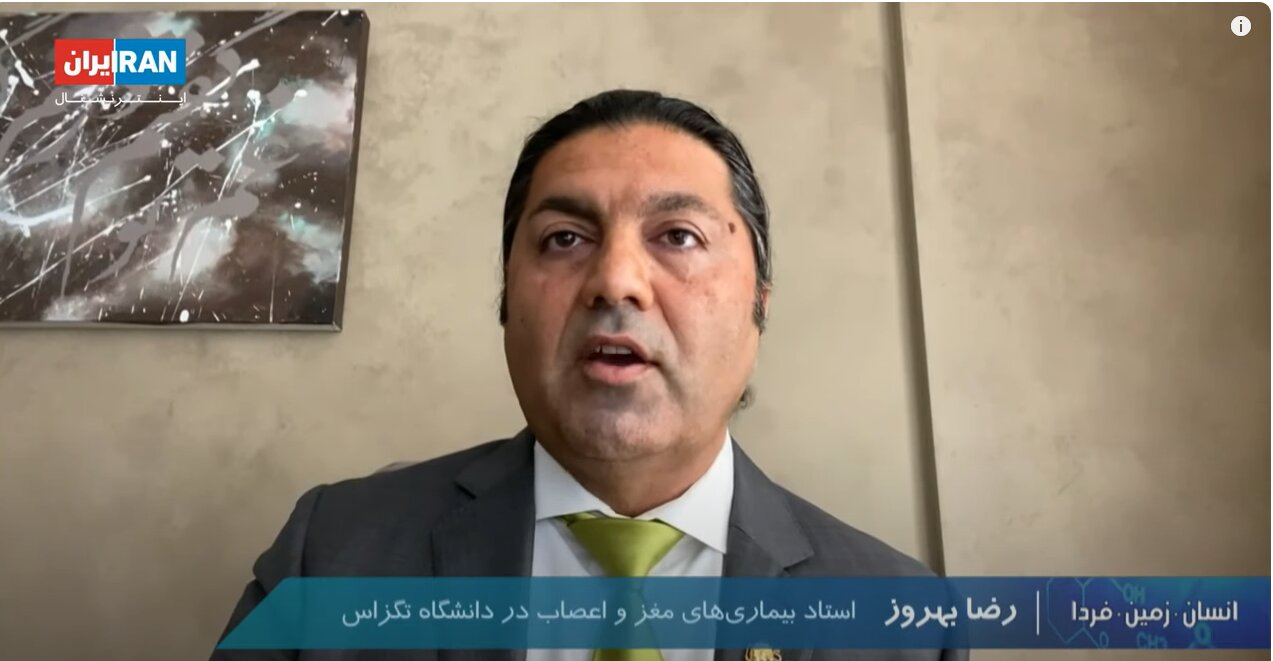 مهسا امینی، ویکیپدیا و سایر ماجراها