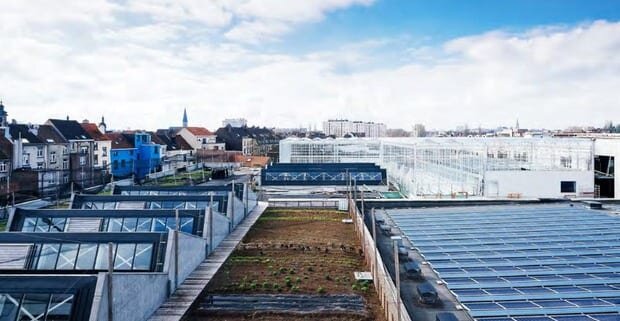 بازار بروکسل نمونه موفق هدررفت صفر انرژی