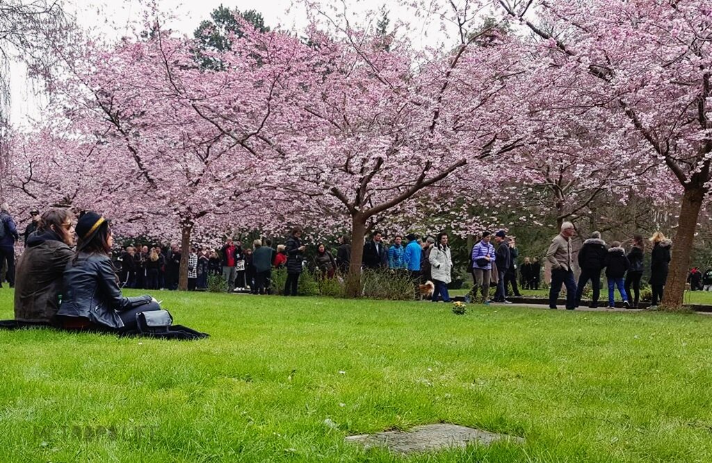 سنت قبرستانگردی در دانمارک