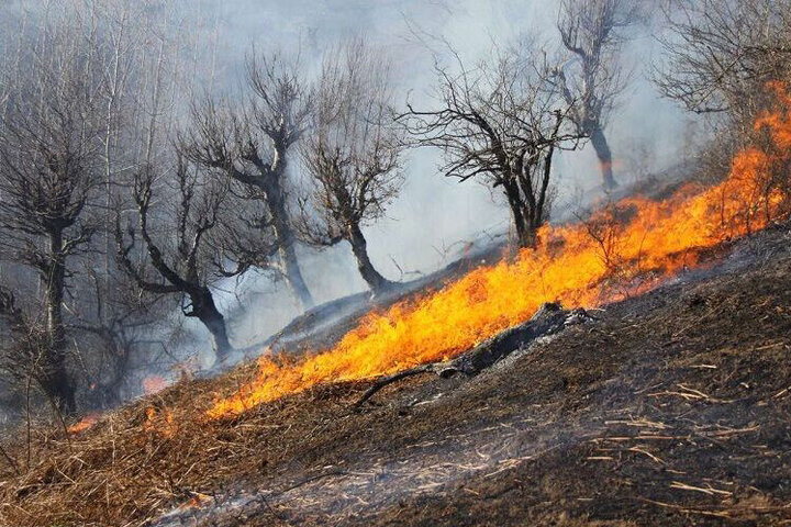 علت آتش‌سوزی در باغ شریعت اردبیل بررسی می‌شود