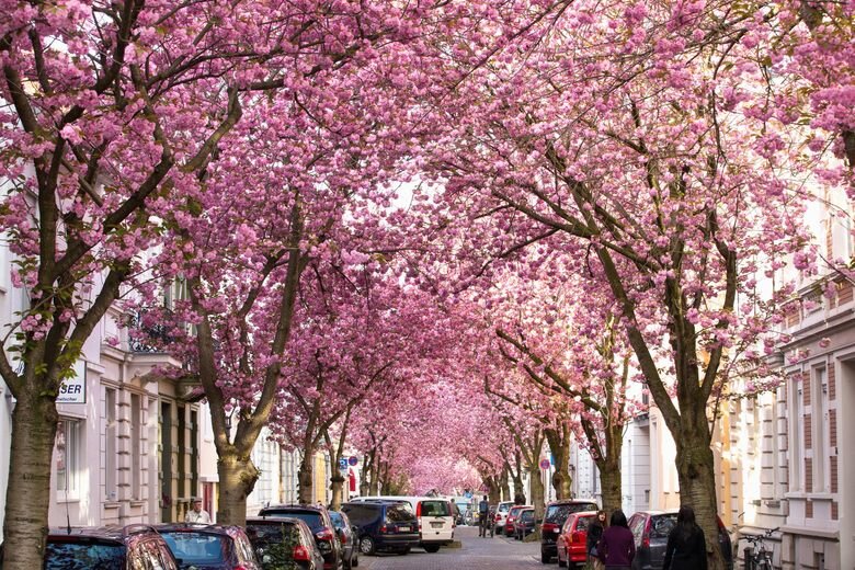 شهرهای میزبان زیباترین خیابانهای دنیا + عکس