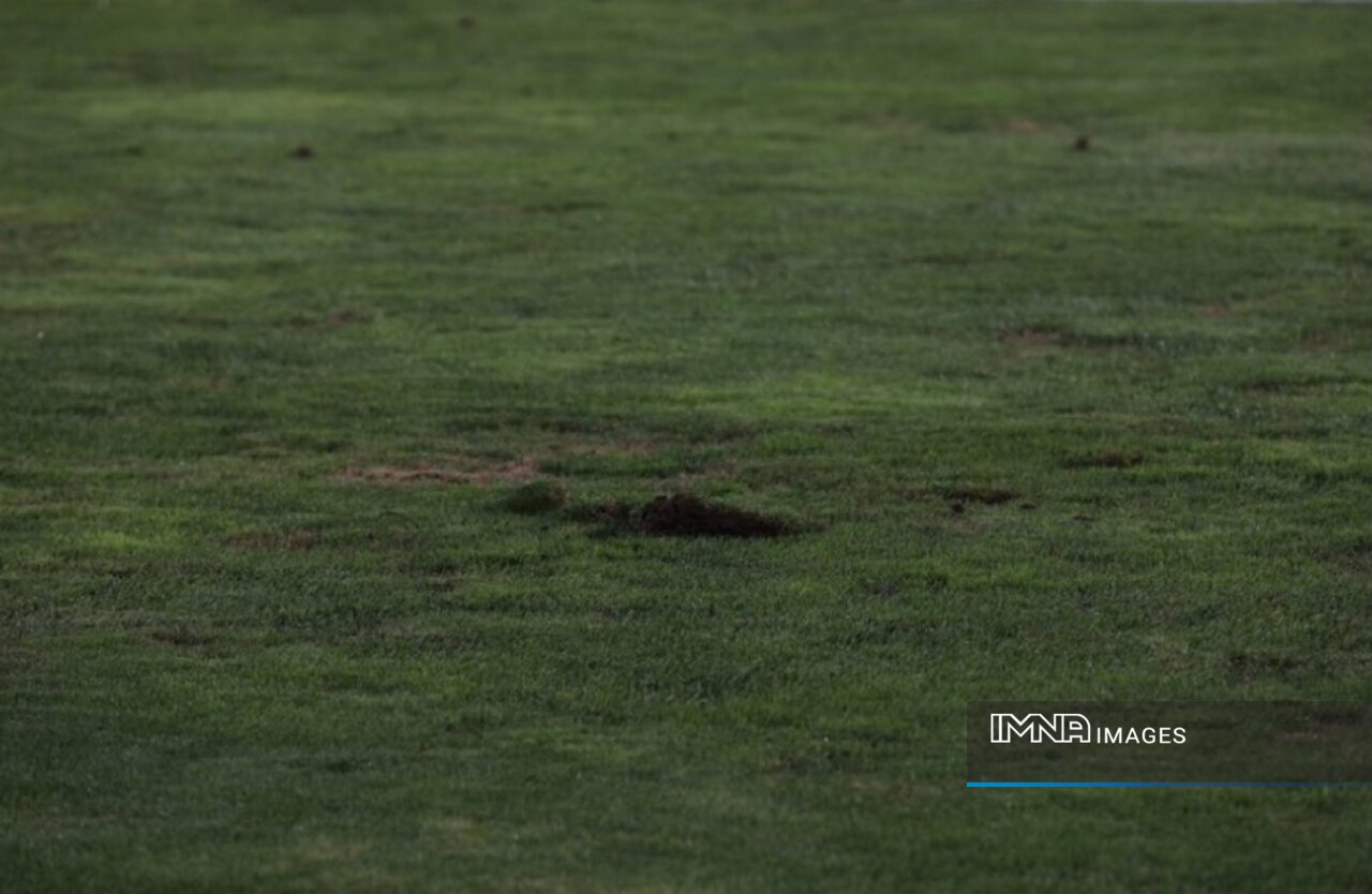 انتقاد ستارههای النصر و بازیکنان پرسپولیس به چمن ناآماده آزادی