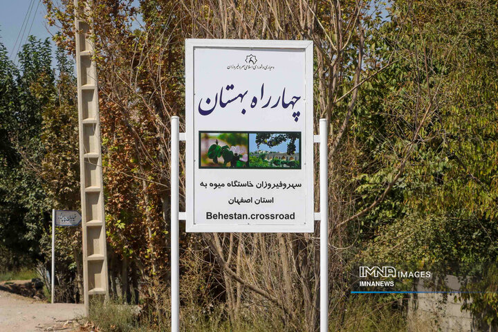 برداشت به از باغات اصفهان