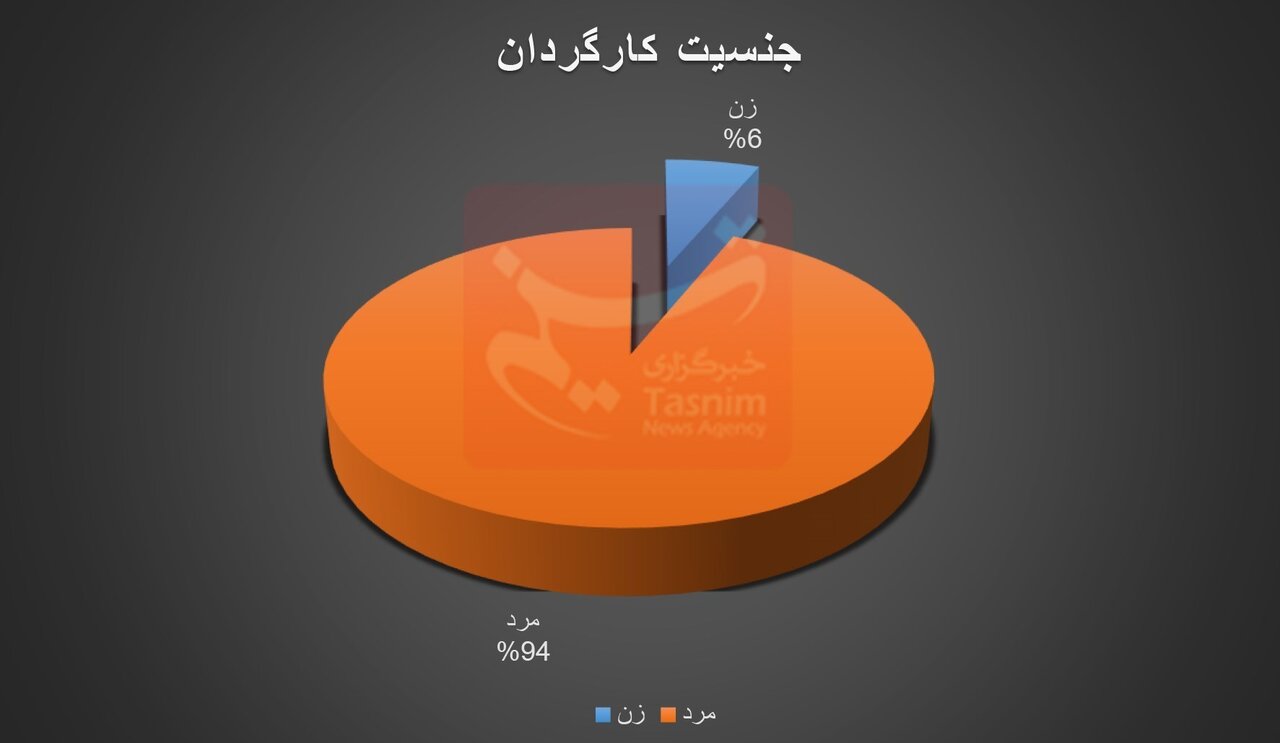 رشد ۲۵ درصدی مخاطبان سینما نسبت به نیمه نخست سال قبل + نمودارها