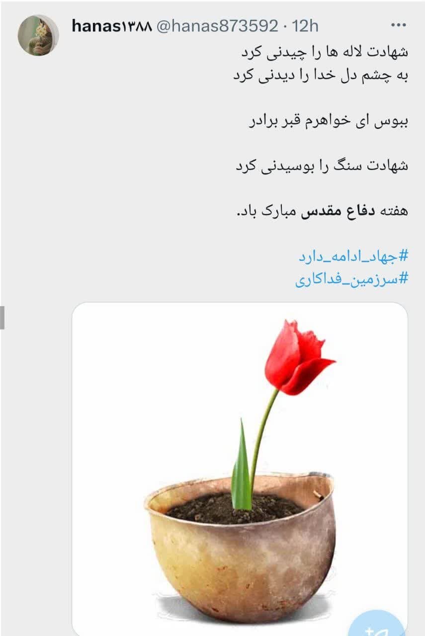 بازتاب دفاع مقدس در فضای مجازی