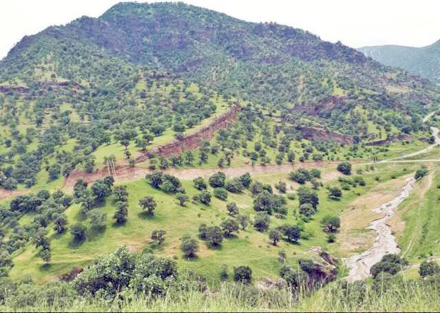 عصرانه خبری شهرهای ایران در ۱۵ اسفند