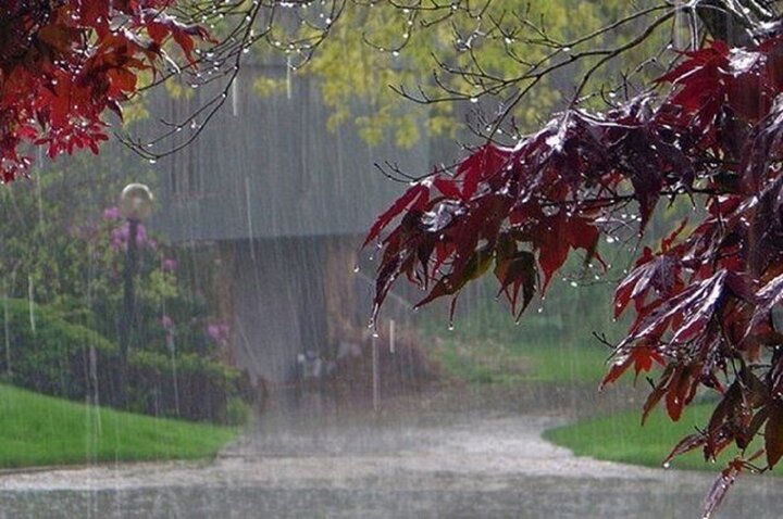 پیش‌بینی بارندگی، رعدوبرق و وزش باد شدید موقت / وزش باد در شمال شرق و شرق شدت می‌گیرد