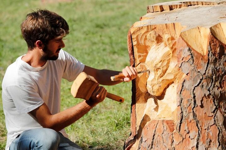 میلان درختان مرده را به آثار هنری تبدیل می‌کند