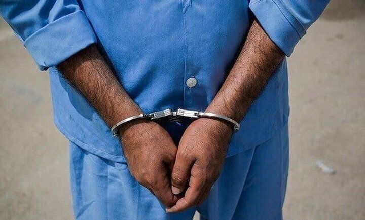 دستگیری ۳۵۲ تبعه بیگانه غیرمجاز در زاهدان