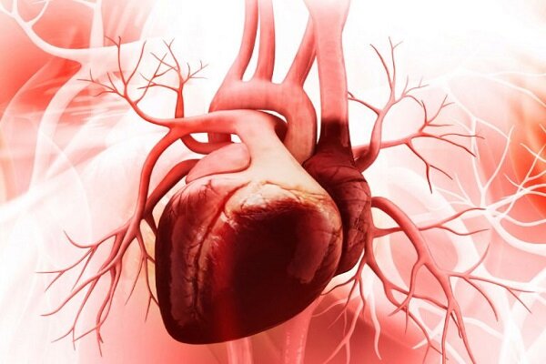 مهم‌ترین عوامل خطر بیماری قلبی چیست؟