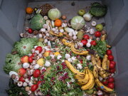 بررسی چالش‌های بازیافت پسماند مواد غذایی در کالیفرنیا