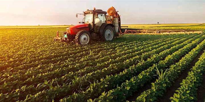 تحقق ۴۰ درصدی برنامه‌های دولت سیزدهم در بخش کشاورزی کهگیلویه و بویراحمد