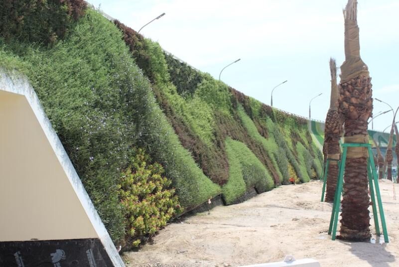 قطر، میزبان بزرگ‌ترین دیوار سبز جهان